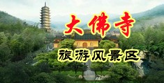 樣鱉鱉中国浙江-新昌大佛寺旅游风景区